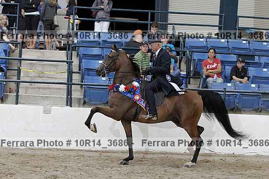 Proof Number 10r14_3686