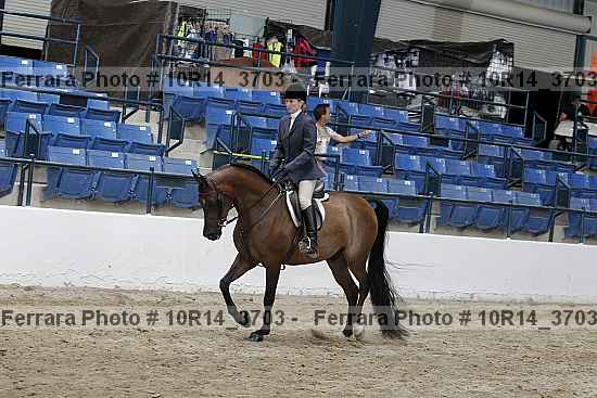 Proof Number 10r14_3703