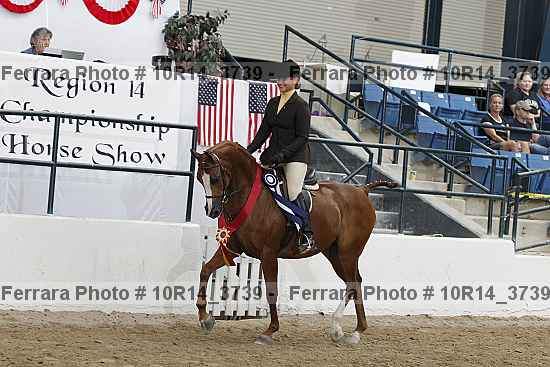 Proof Number 10r14_3739