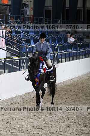 Proof Number 10r14_3740