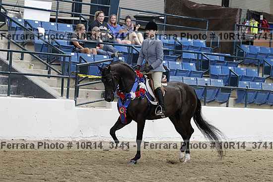 Proof Number 10r14_3741