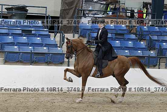 Proof Number 10r14_3749
