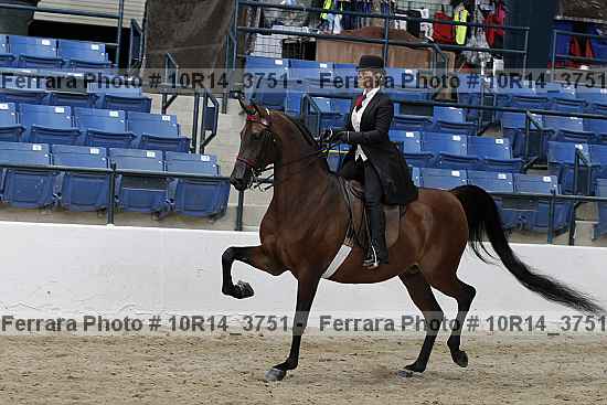 Proof Number 10r14_3751