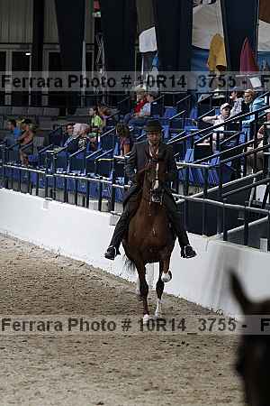 Proof Number 10r14_3755