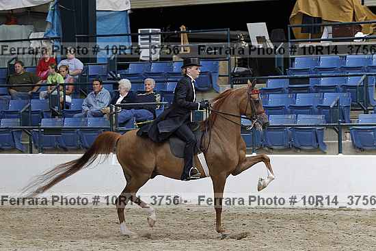 Proof Number 10r14_3756