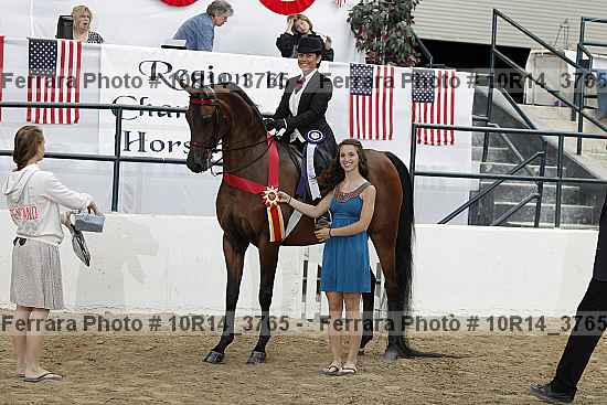 Proof Number 10r14_3765