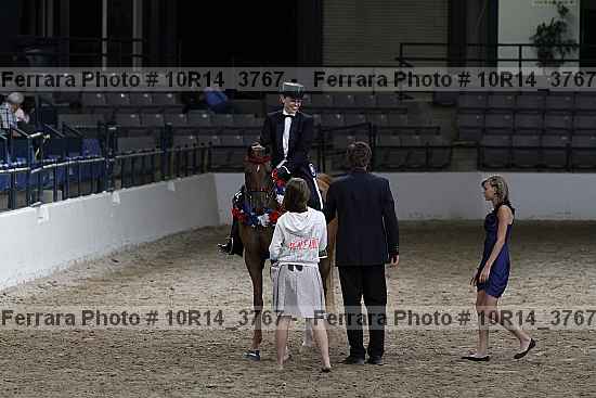 Proof Number 10r14_3767