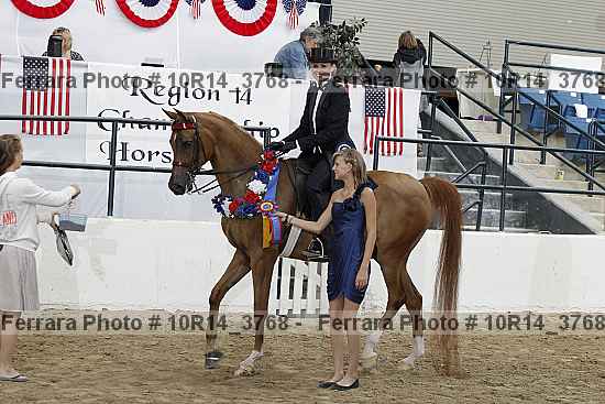 Proof Number 10r14_3768