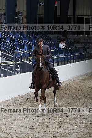 Proof Number 10r14_3770