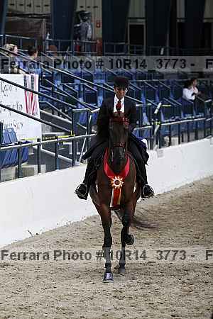 Proof Number 10r14_3773