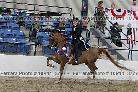Proof Number 10r14_3777