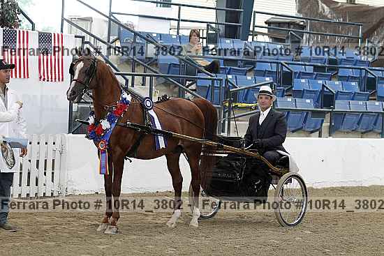 Proof Number 10r14_3802