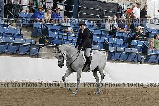 Proof Number 10r14_3823