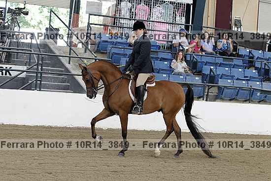 Proof Number 10r14_3849