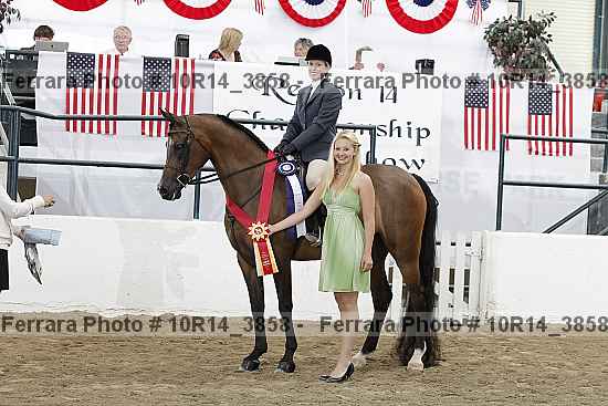 Proof Number 10r14_3858