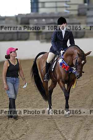 Proof Number 10r14_3865