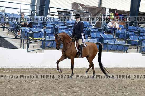 Proof Number 10r14_3873
