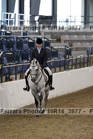 Proof Number 10r14_3877