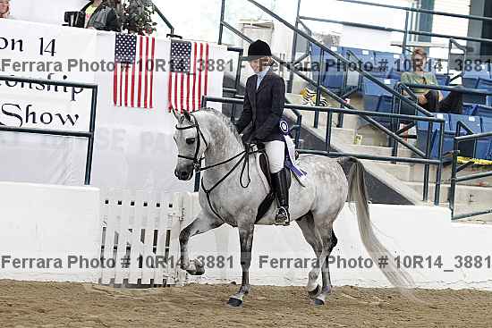 Proof Number 10r14_3881