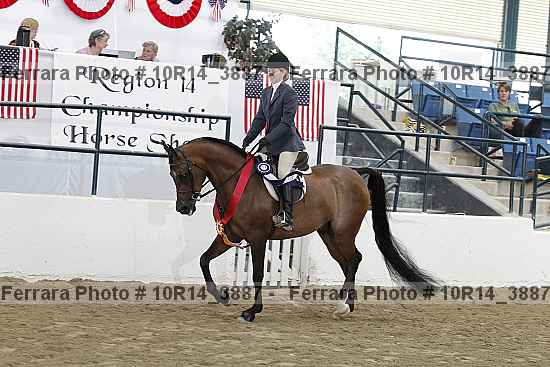 Proof Number 10r14_3887