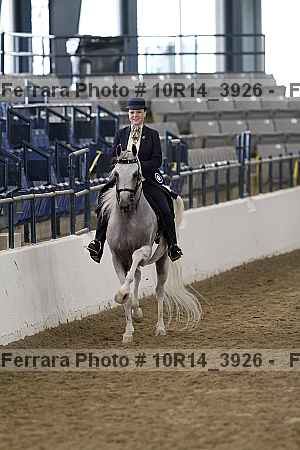 Proof Number 10r14_3926