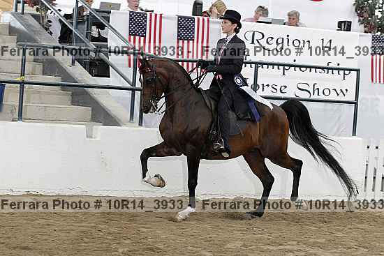 Proof Number 10r14_3933