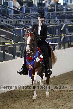 Proof Number 10r14_3938
