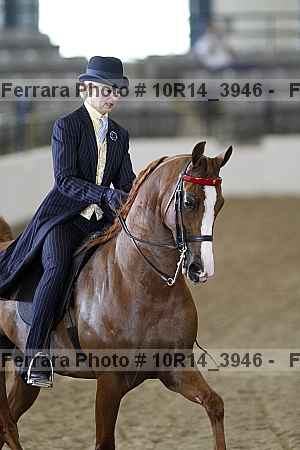 Proof Number 10r14_3946