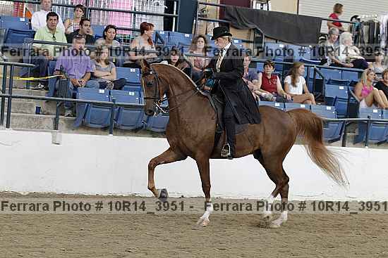 Proof Number 10r14_3951