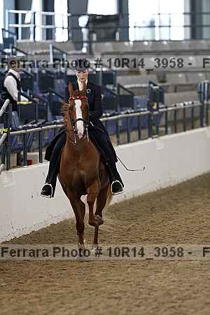 Proof Number 10r14_3958