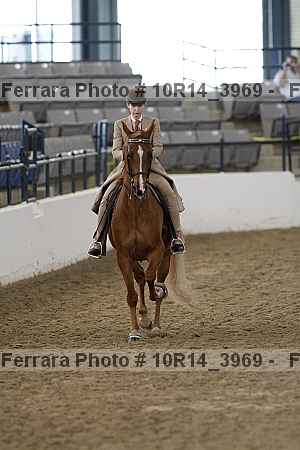 Proof Number 10r14_3969