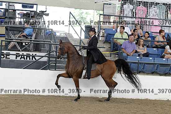 Proof Number 10r14_3970