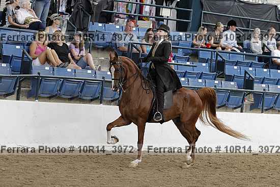 Proof Number 10r14_3972