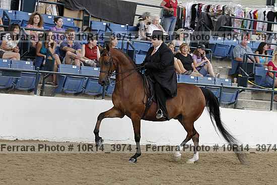 Proof Number 10r14_3974