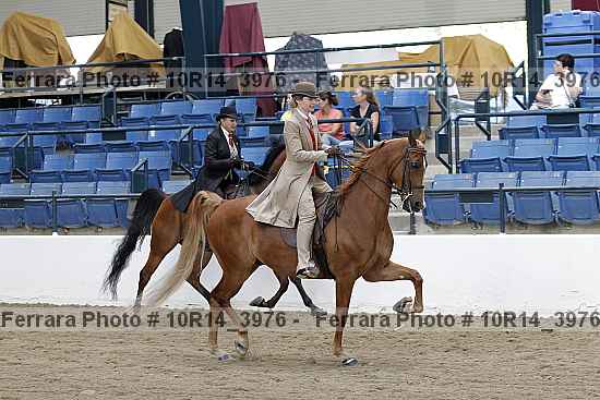 Proof Number 10r14_3976