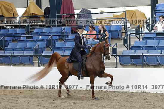 Proof Number 10r14_3977