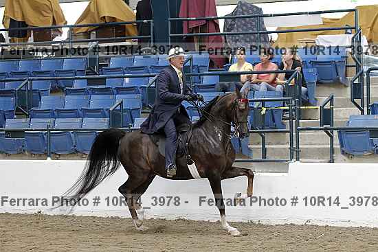 Proof Number 10r14_3978