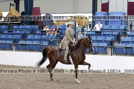 Proof Number 10r14_3980