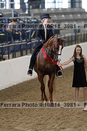 Proof Number 10r14_3981