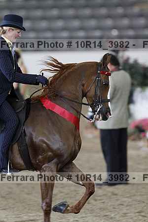 Proof Number 10r14_3982