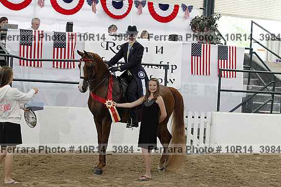 Proof Number 10r14_3984