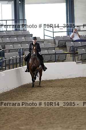 Proof Number 10r14_3985