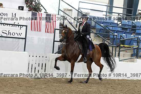 Proof Number 10r14_3987