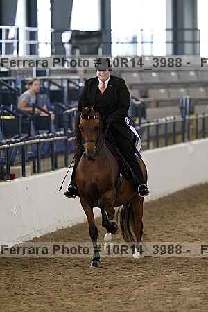 Proof Number 10r14_3988