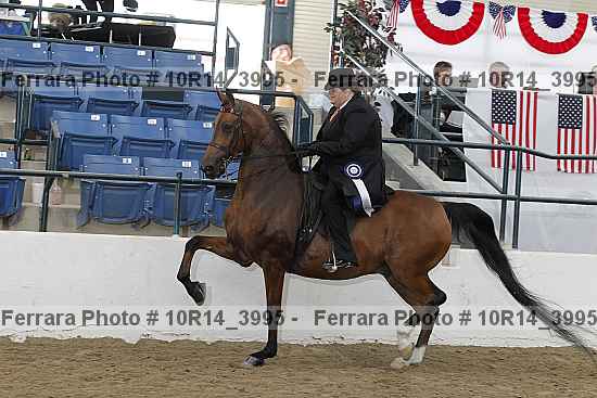 Proof Number 10r14_3995