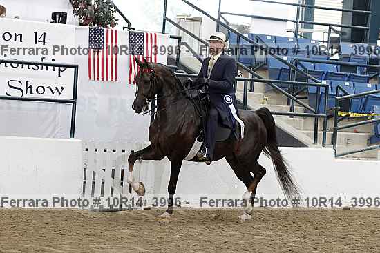 Proof Number 10r14_3996