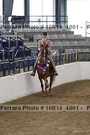 Proof Number 10r14_4001