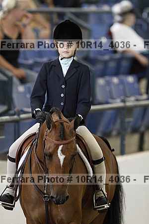 Proof Number 10r14_4036