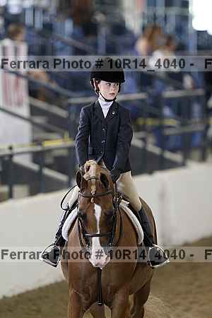 Proof Number 10r14_4040