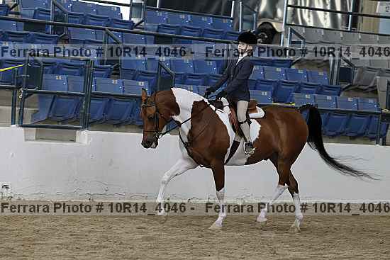 Proof Number 10r14_4046